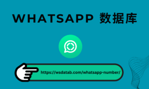 WhatsApp 号码 