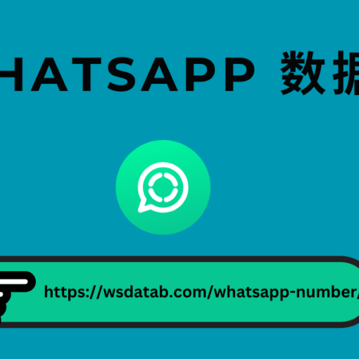 WhatsApp 号码