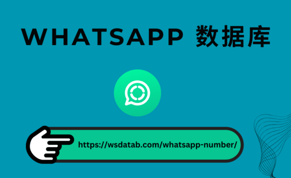 WhatsApp 号码